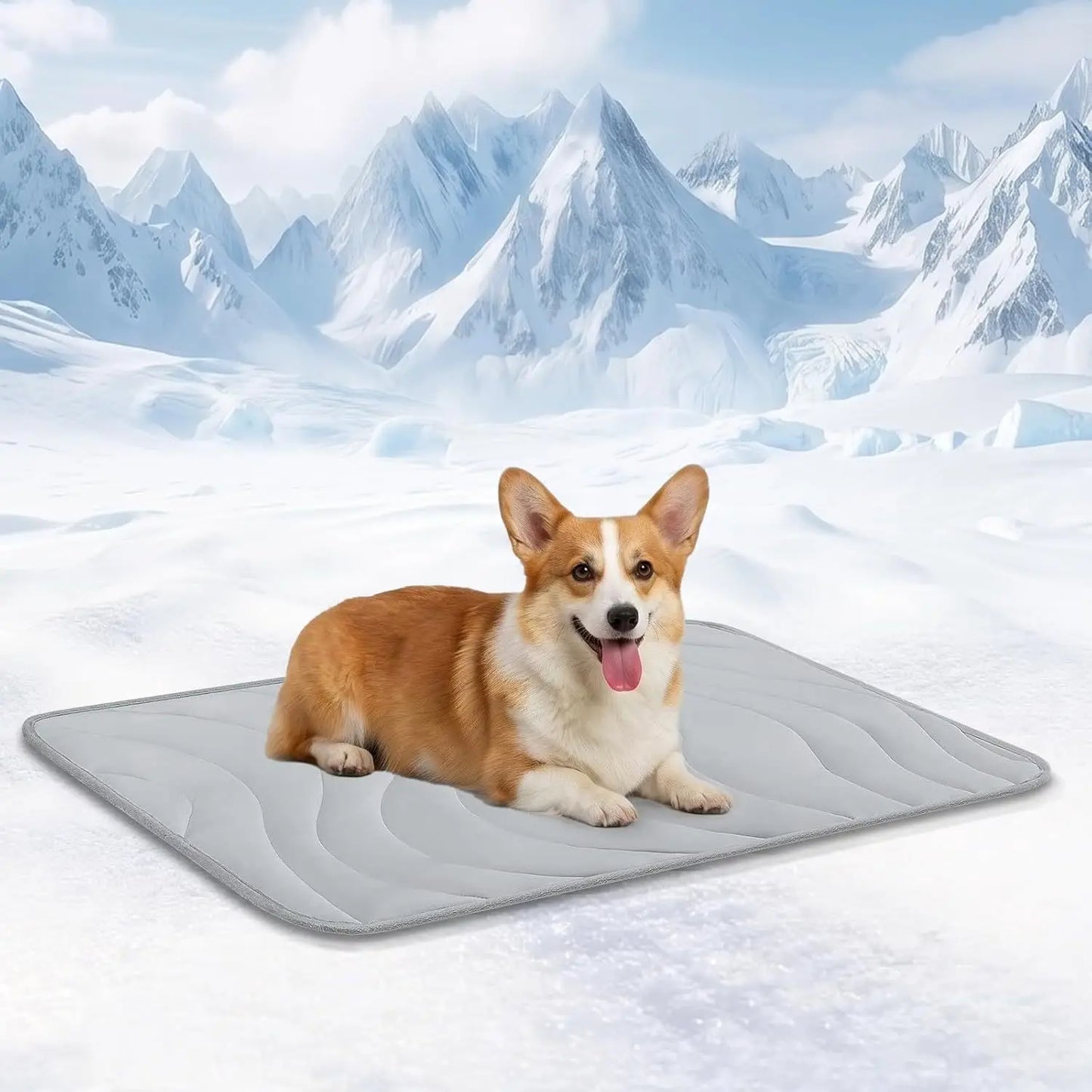 Dual-Sided Cooling Pet Mat™