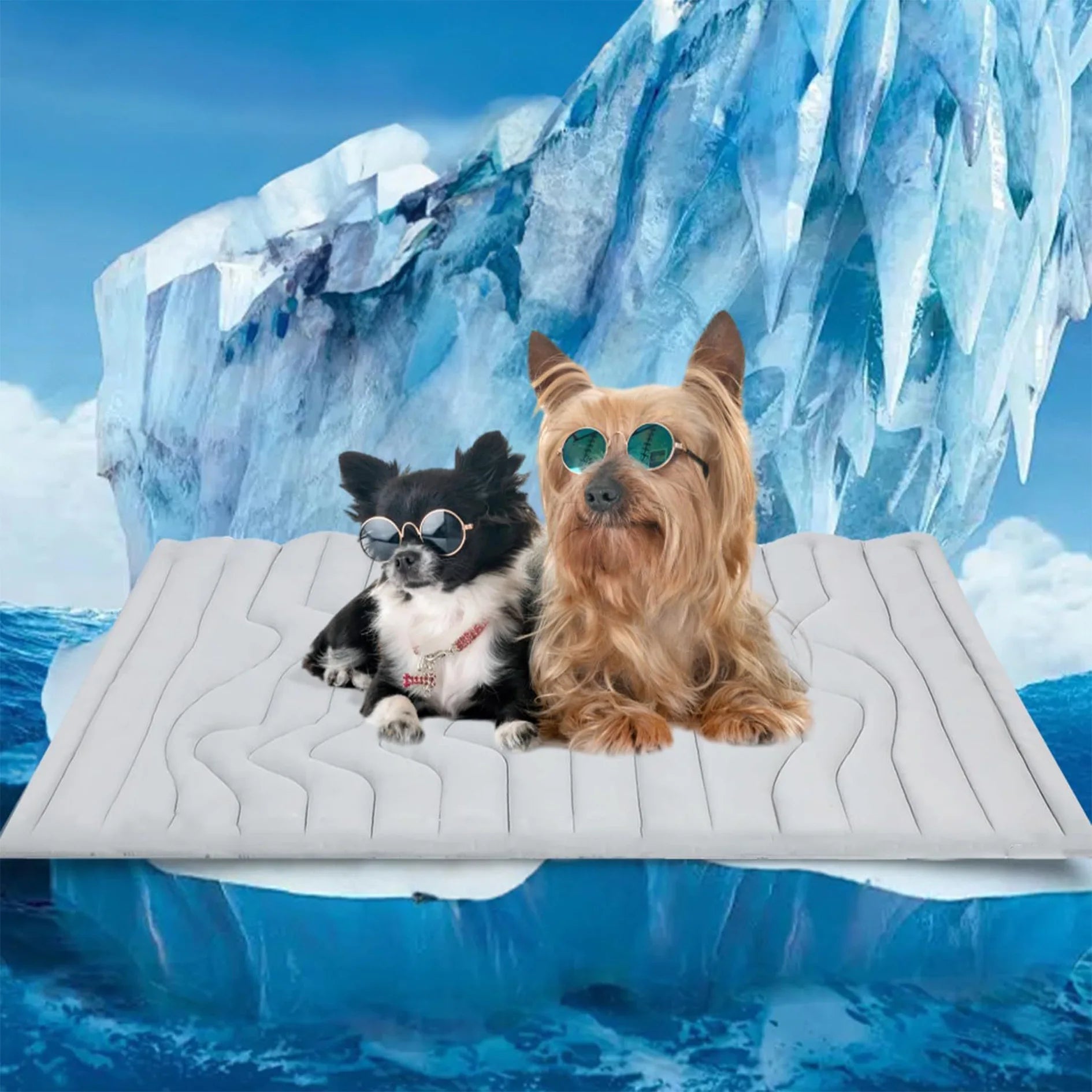 NorasPet 2in1 Cooling Mat™