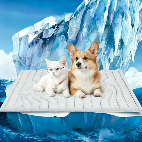NorasPet 2in1 Cooling Mat™