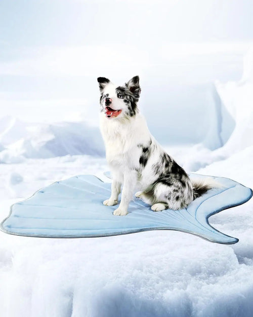 Ginkgo Leaf Cooling Pet Mat™