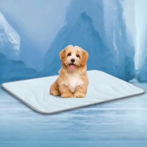 Dual-Sided Cooling Pet Mat™