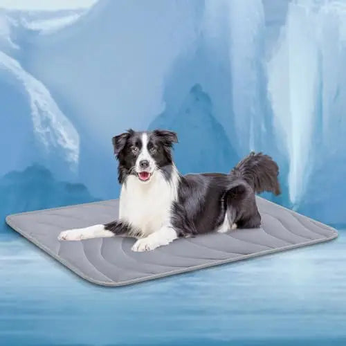 Dual-Sided Cooling Pet Mat™